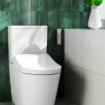 Washlet® RG Monobloc Toto